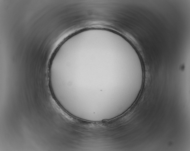 X0000116321384200912221350