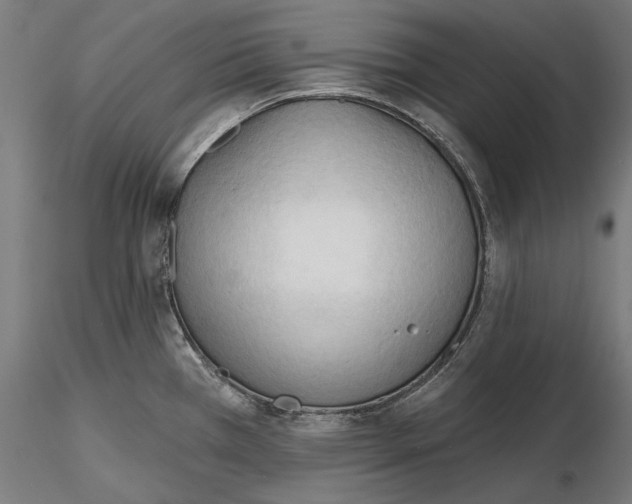 X0000116321385200912221350