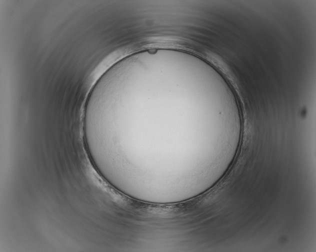 X0000116321386200912221350