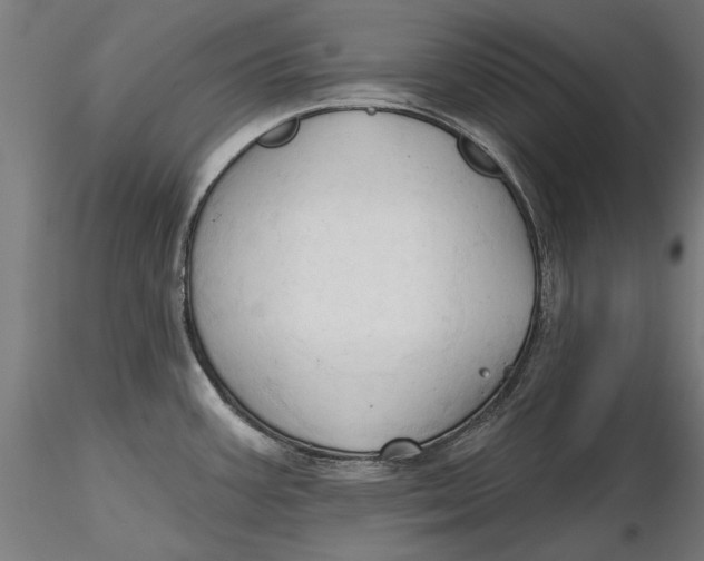 X0000116321387200912221350