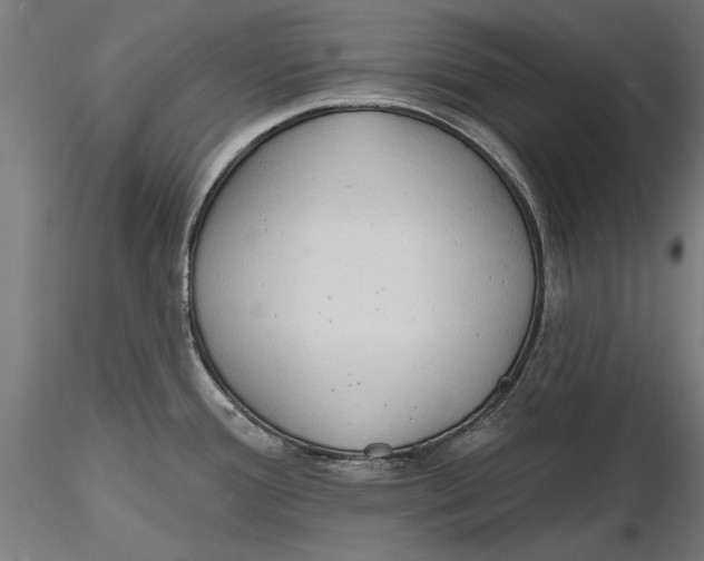 X0000116321388200912221350