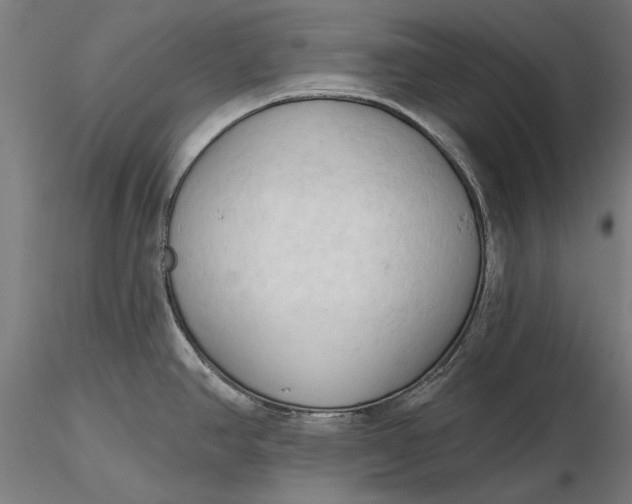 X0000116321390200912221350