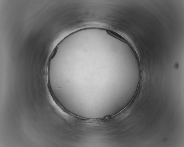 X0000116321391200912221350