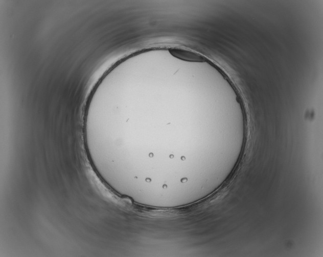 X0000116321392200912221350