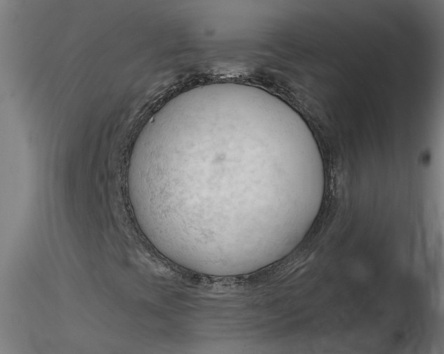 X0000116321393200912221349