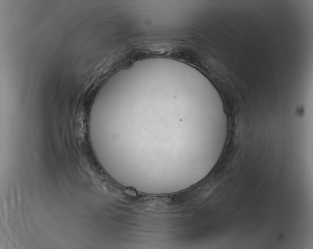 X0000116321394200912221349