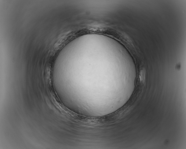 X0000116321396200912221349