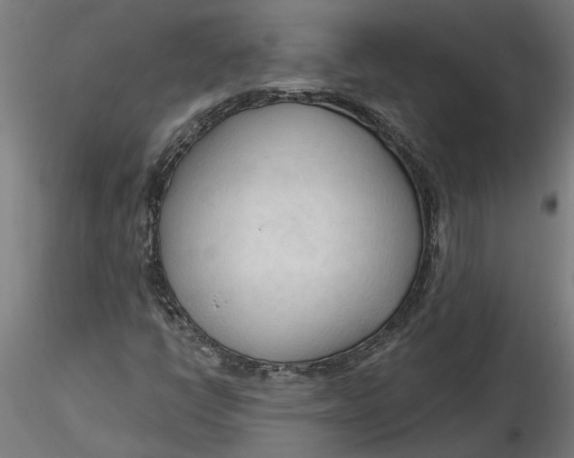 X0000116321398200912221349