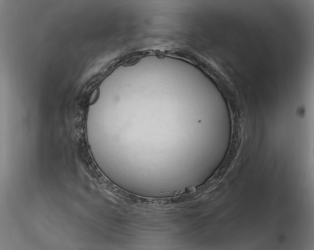 X0000116321399200912221349