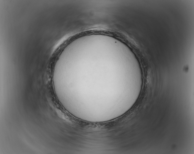 X0000116321400200912221349