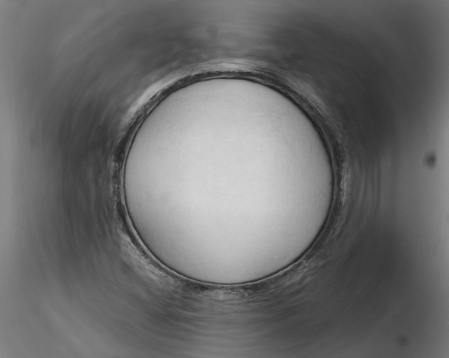 X0000116321404200912221349