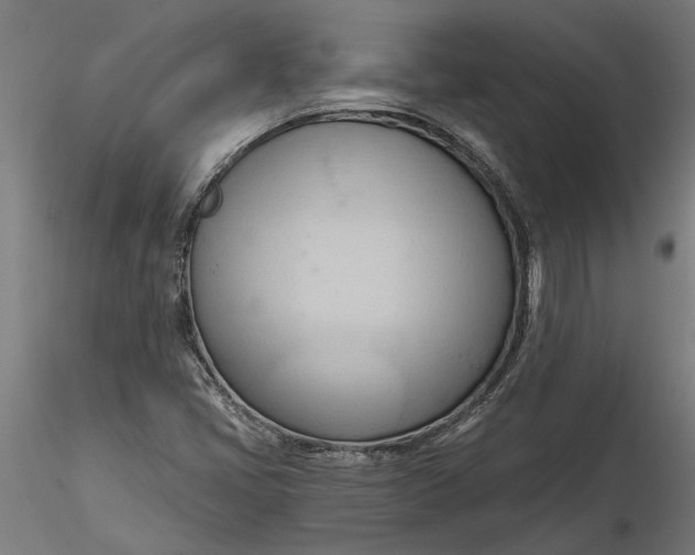 X0000116321405200912221349