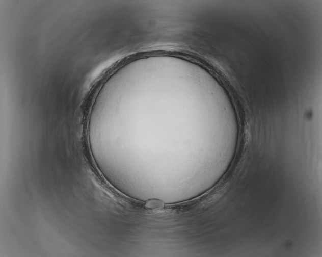 X0000116321406200912221349