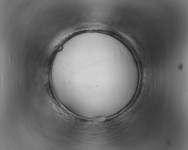 X0000116321407200912221349