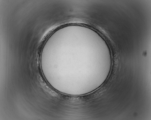 X0000116321408200912221349