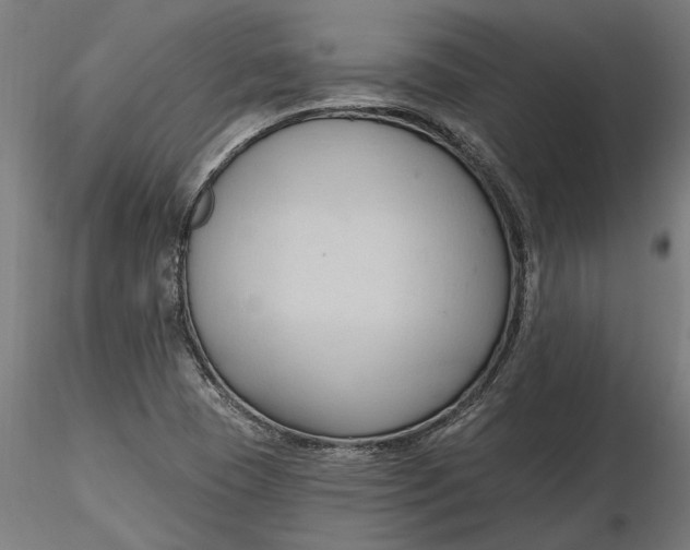 X0000116321409200912221349