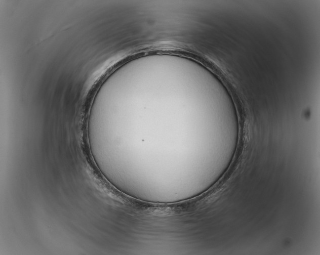 X0000116321410200912221349