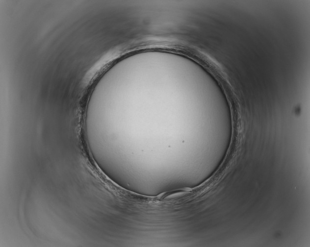 X0000116321411200912221349