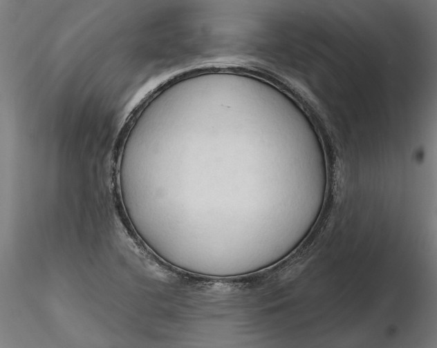 X0000116321412200912221349