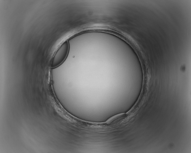 X0000116321413200912221349