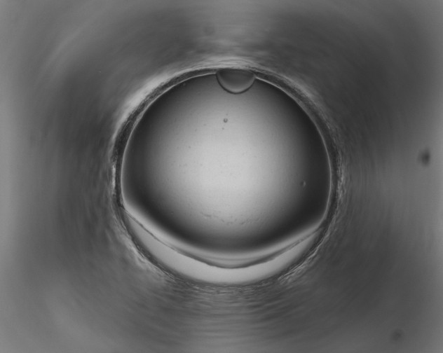 X0000116321414200912221349