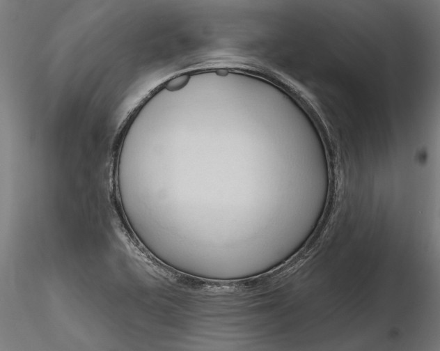 X0000116321415200912221349