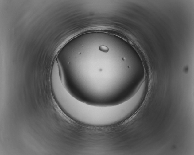 X0000116321417200912221349