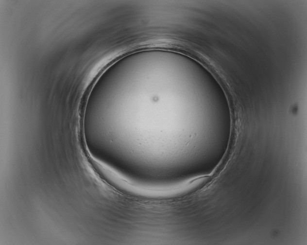 X0000116321418200912221349