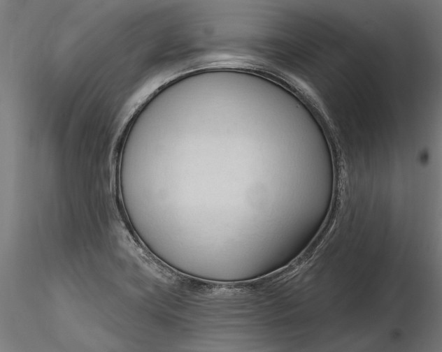 X0000116321419200912221349