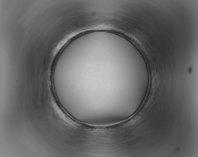 X0000116321422200912221349