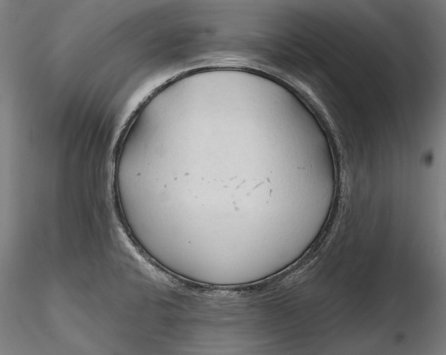 X0000116321424200912221349