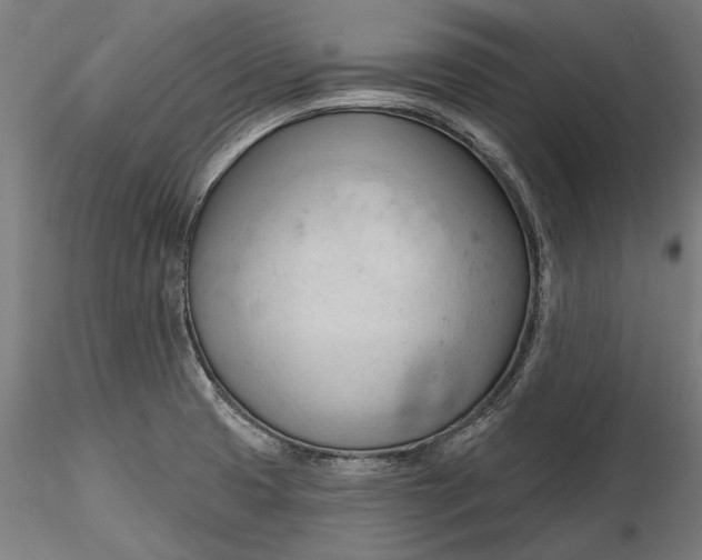 X0000116321425200912221349