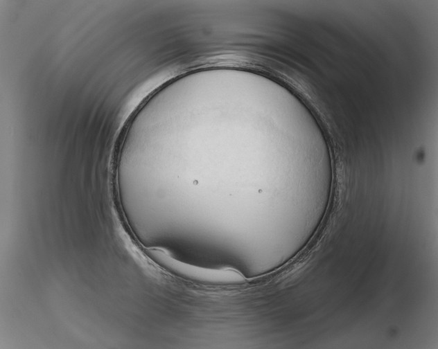 X0000116321426200912221349