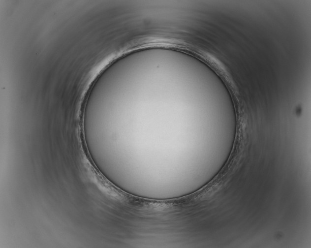 X0000116321427200912221349