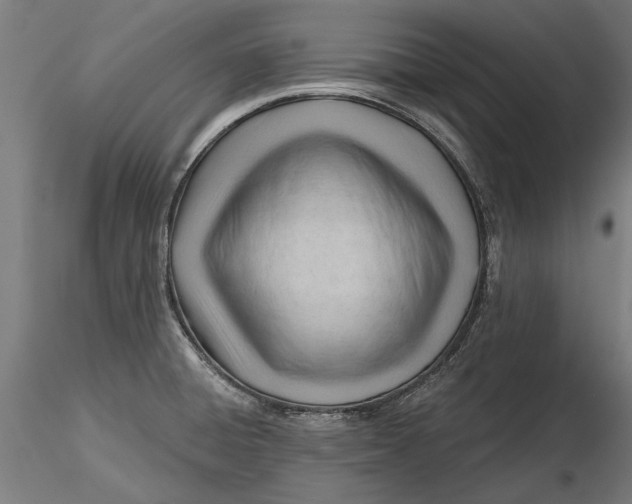 X0000116321428200912221349