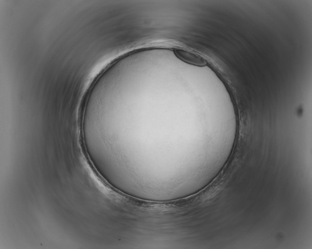 X0000116321430200912221349