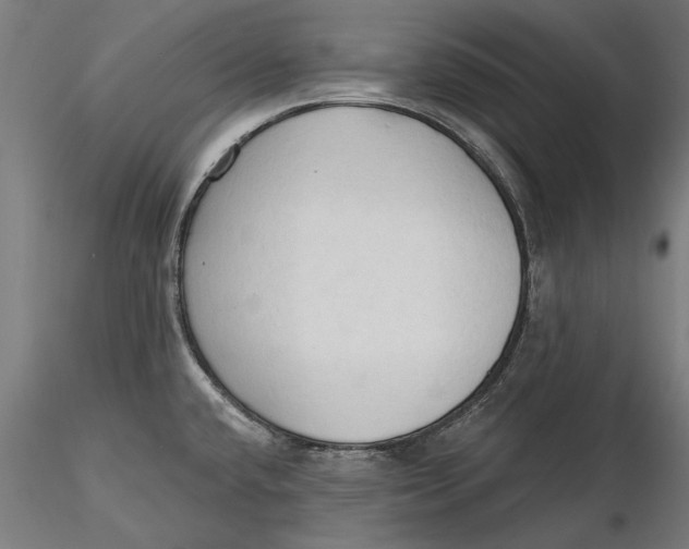 X0000116321432200912221349