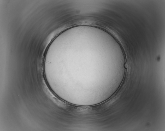 X0000116321434200912221349