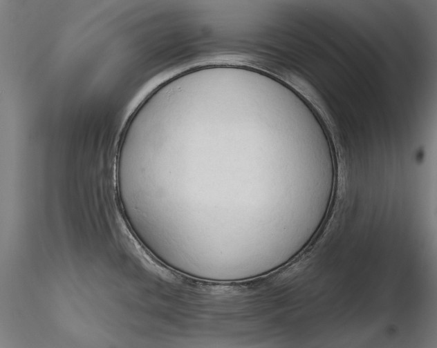 X0000116321436200912221349