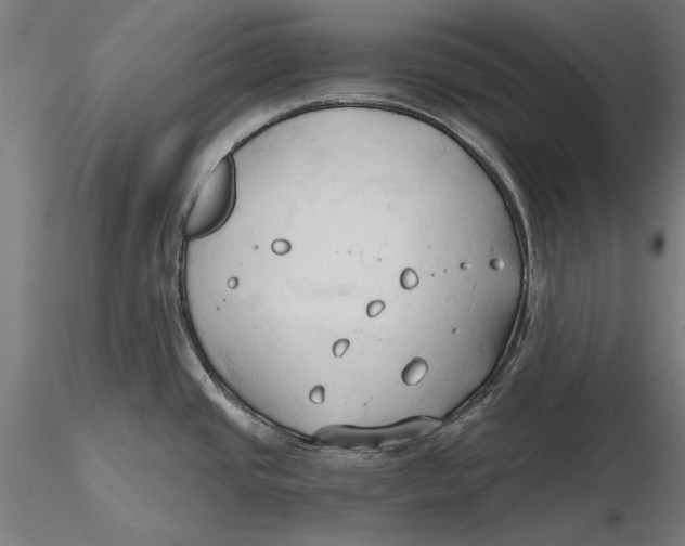 X0000116321437200912221350