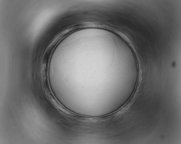 X0000116321438200912221350