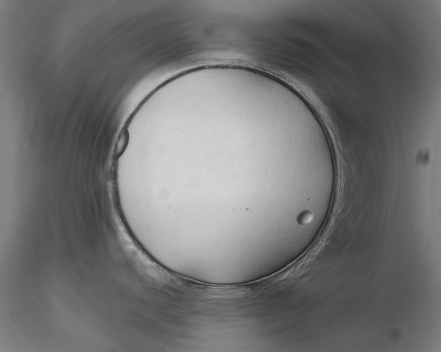 X0000116321440200912221350