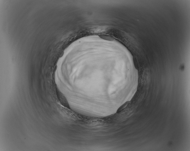 X0000116321441200912221349