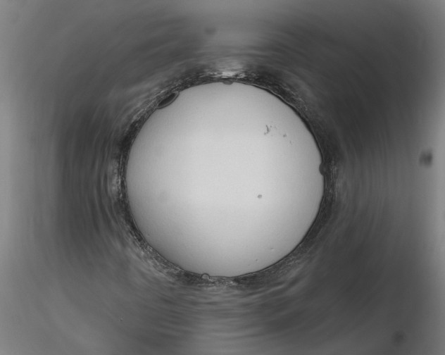 X0000116321442200912221349