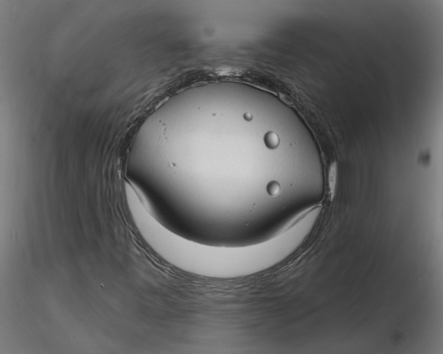 X0000116321443200912221349