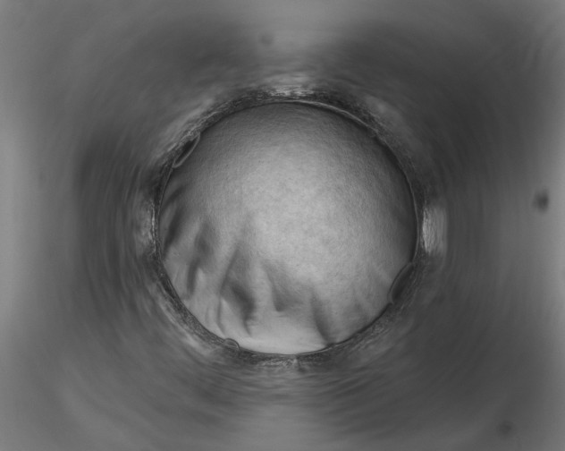 X0000116321444200912221349