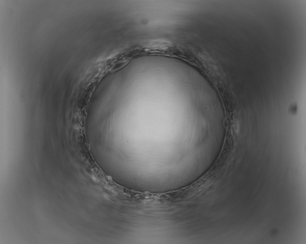 X0000116321445200912221349