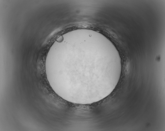 X0000116321446200912221349