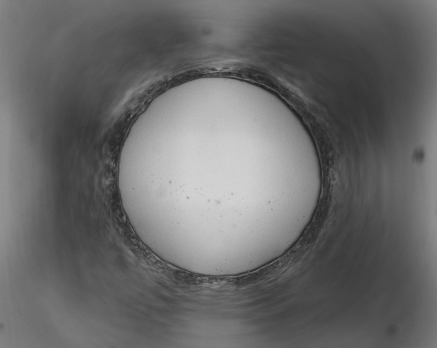 X0000116321447200912221349