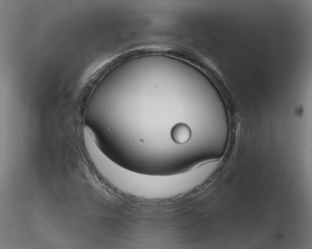 X0000116321448200912221349